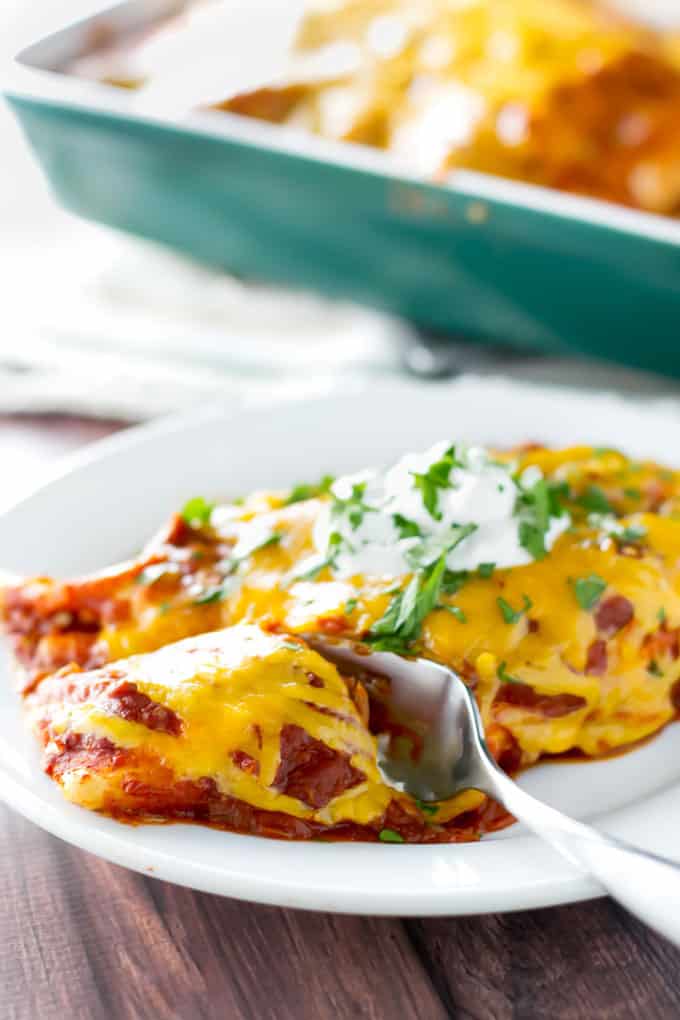 close-up photo of a plate of enchiladas