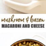 Mushroom Macaroni and Cheese