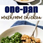 Chicken and mushrooms in a velvety smooth sauce