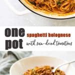 bolognese collage