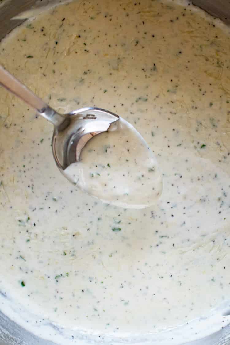 close-up photo of a spoon coated in cream sauce