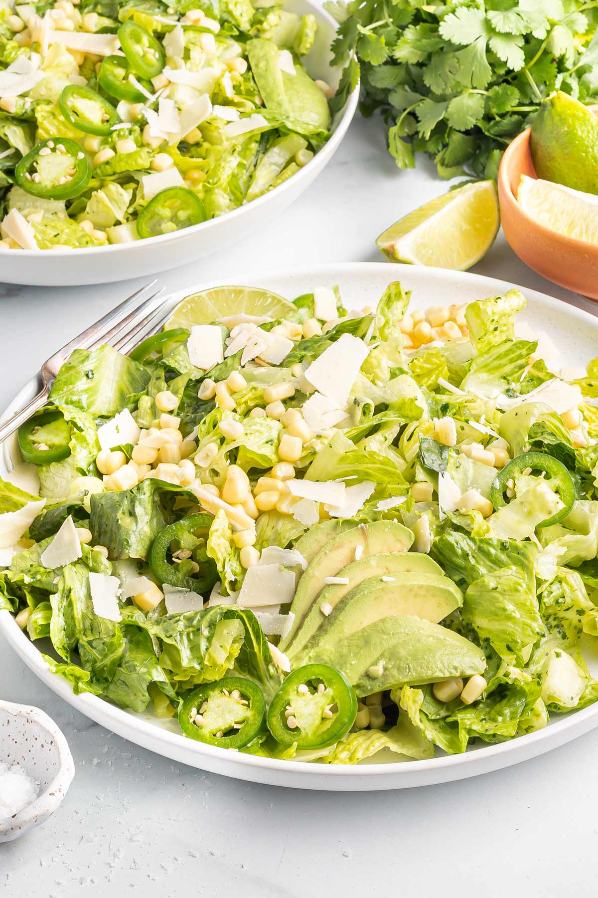 Mexican caesar salad on a white plate.