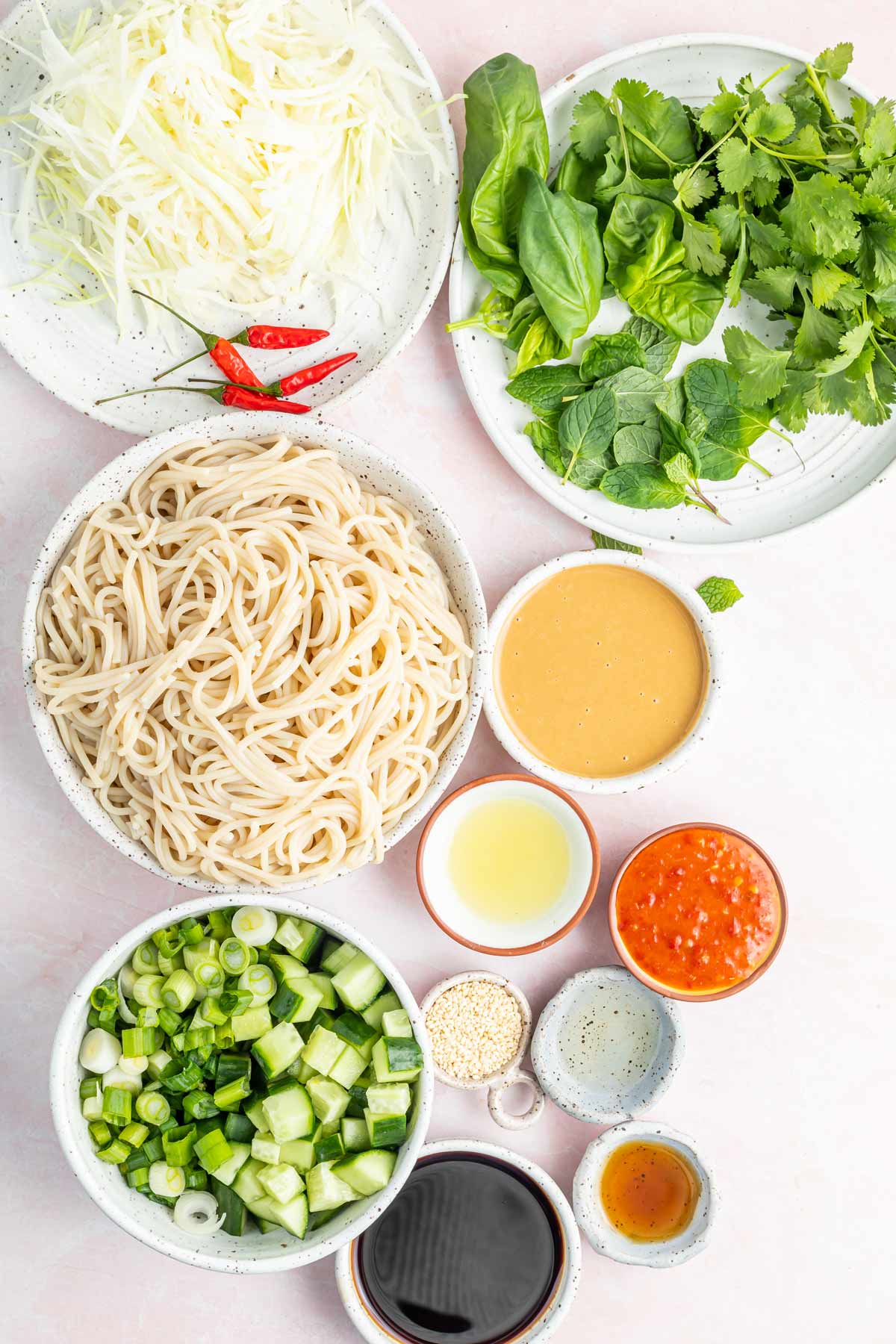 ingredients for spicy udon noodles.