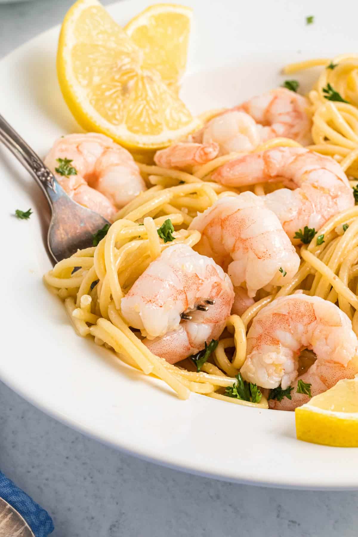 close up shot of a bowl of garlic shrimp pasta.