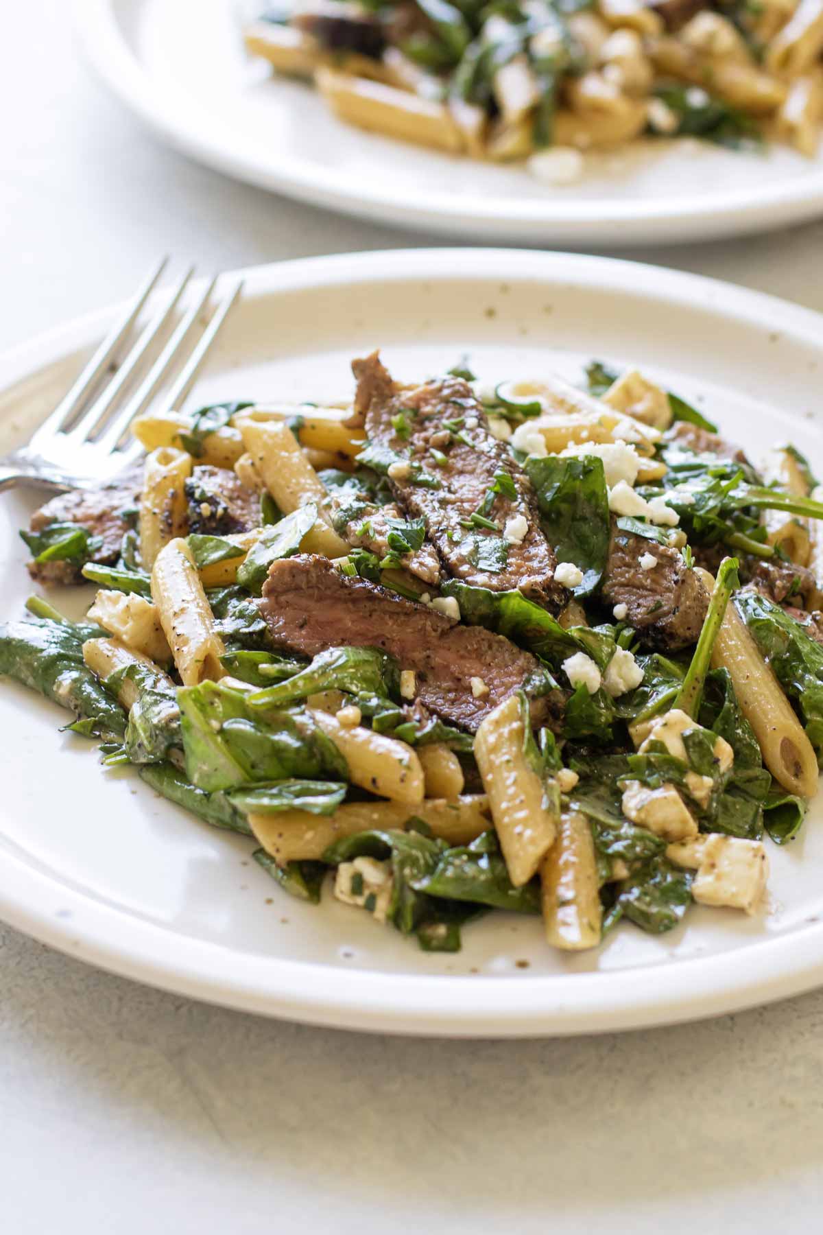 a plate of steak pasta.