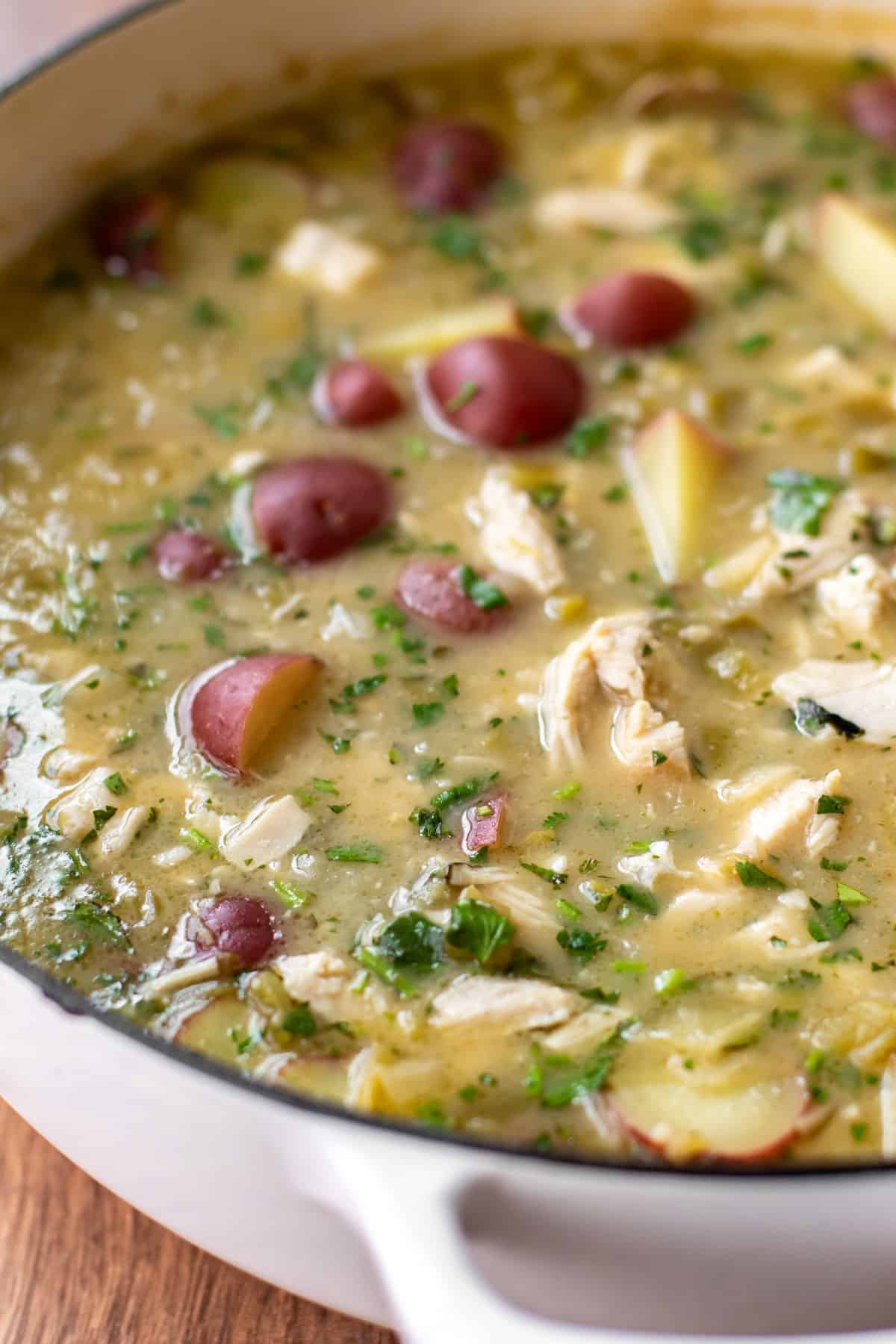 Green Chile Chicken Stew Girl Gone Gourmet