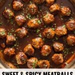 meatballs pin graphic.